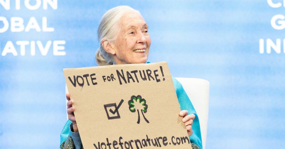 jane goodall life in photos animal welfare activist dead at