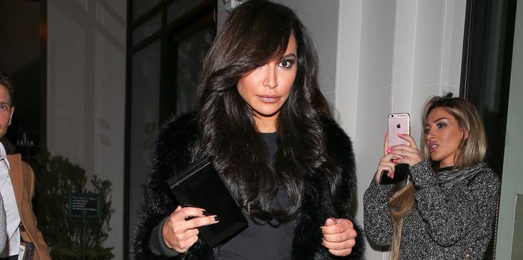 Naya rivera sheer outfit post baby body h