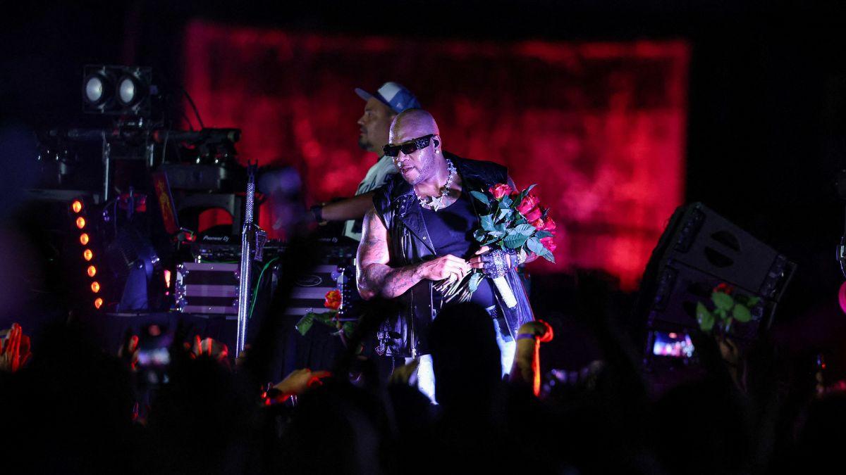 Image of Artists questioned the political ties behind the National Mall show.