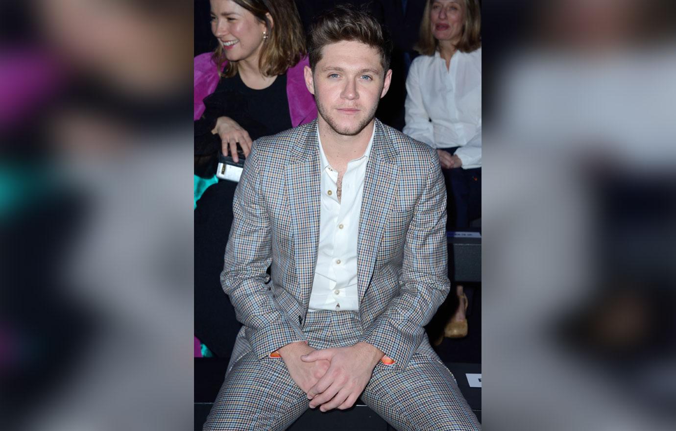 Niall Horan And Hailee Steinfeld Make Their Relationship Status Clear With A Kiss 8692