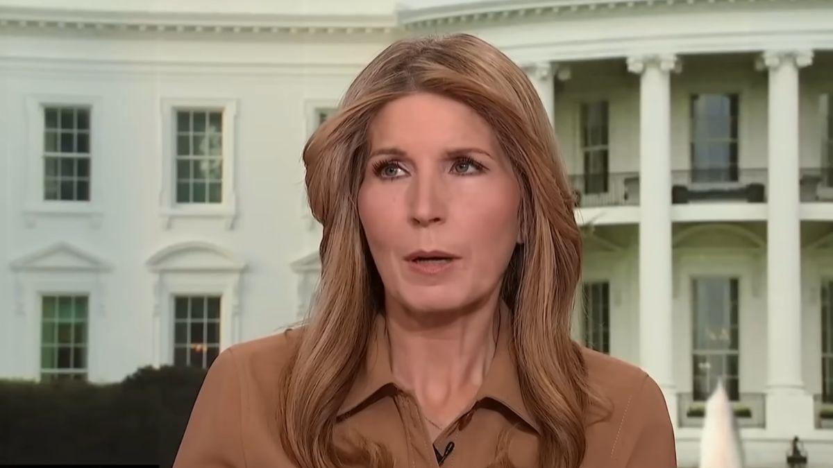 Image of Nicolle Wallace said fame shapes how criticism lands.
