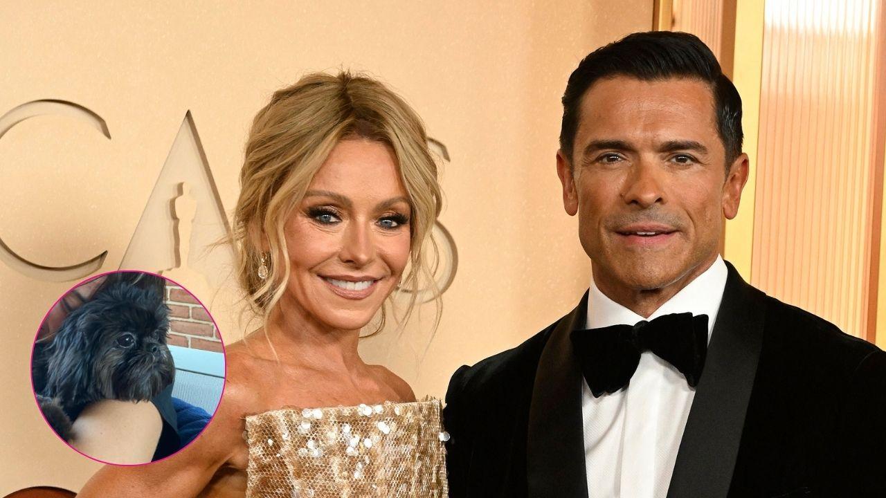 Image of Mark Consuelos would do almost anything for his dog Lena.