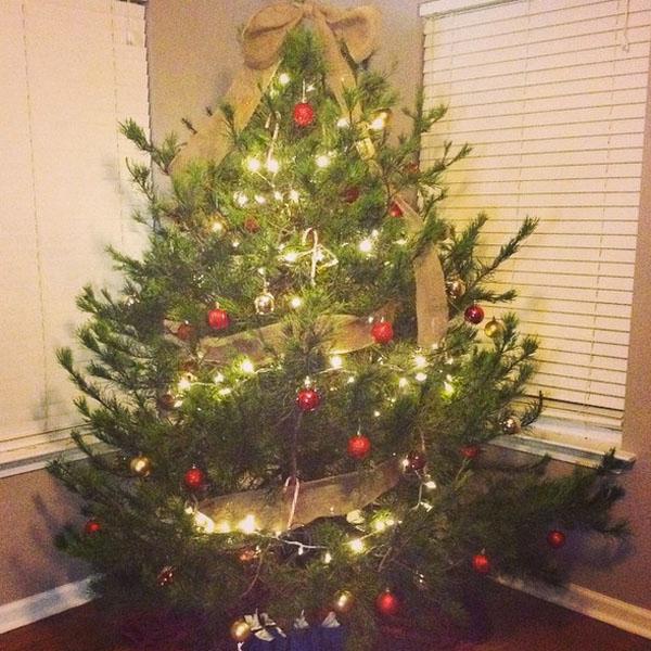 Jenelle evans christmas tree