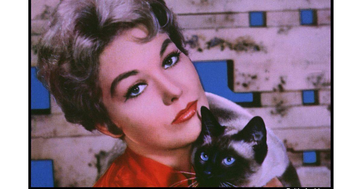 kim novak cat bell book and candle