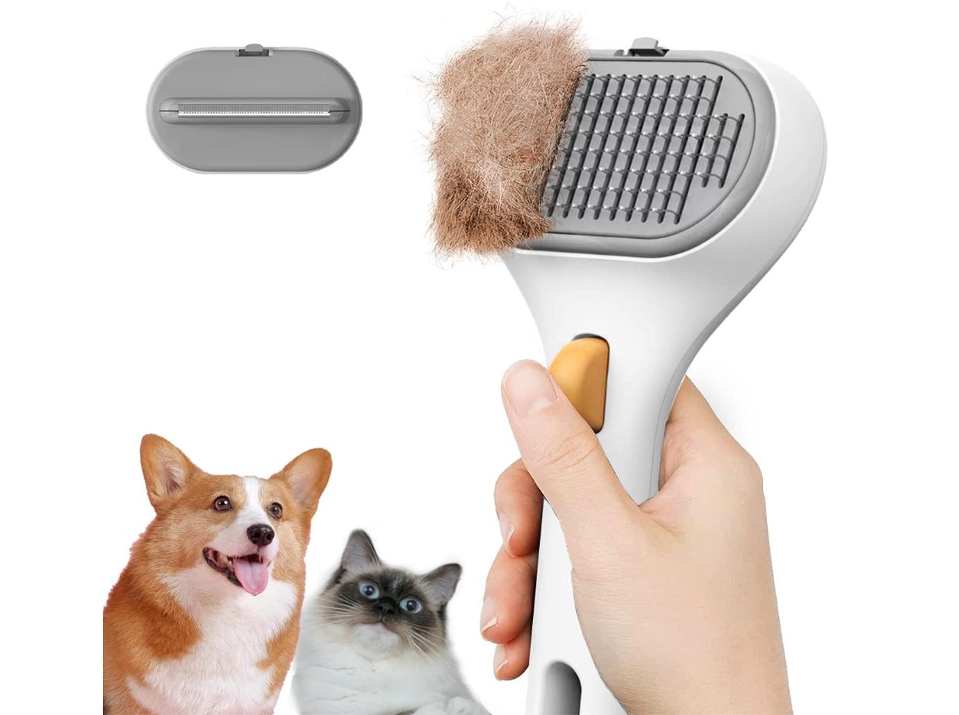 brush