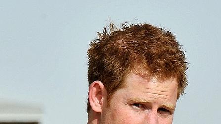 Prince harry sept 15 001 2.jpg