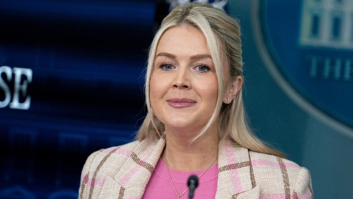 image of Karoline Leavitt has sparked plastic surgery rumors. 