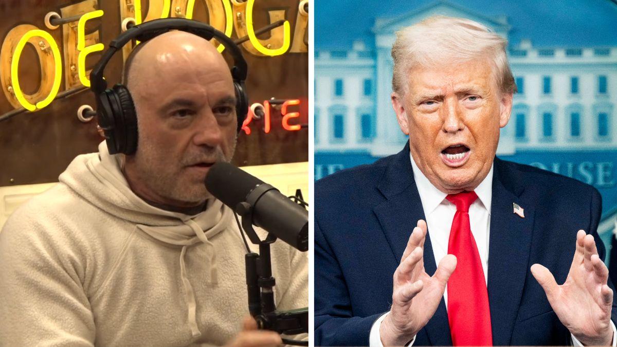 split photo of joe rogan and donald trump
