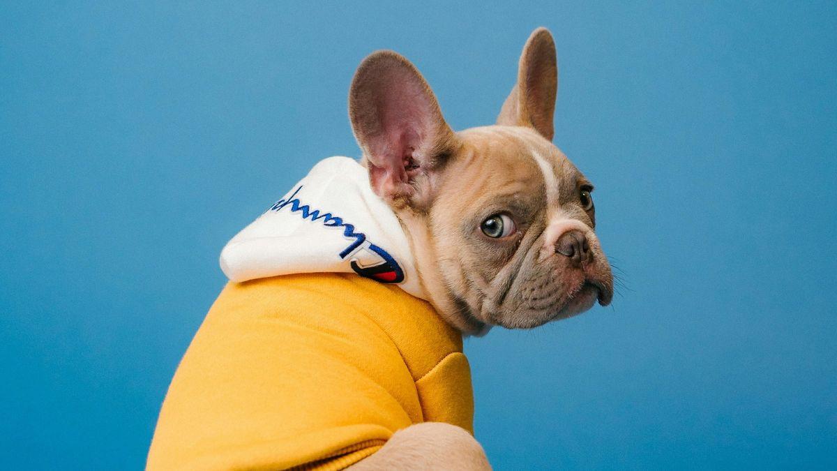 Image of Authorities warned of growing AI-driven emotional scams.