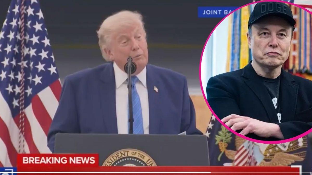 image of trump/elon musk