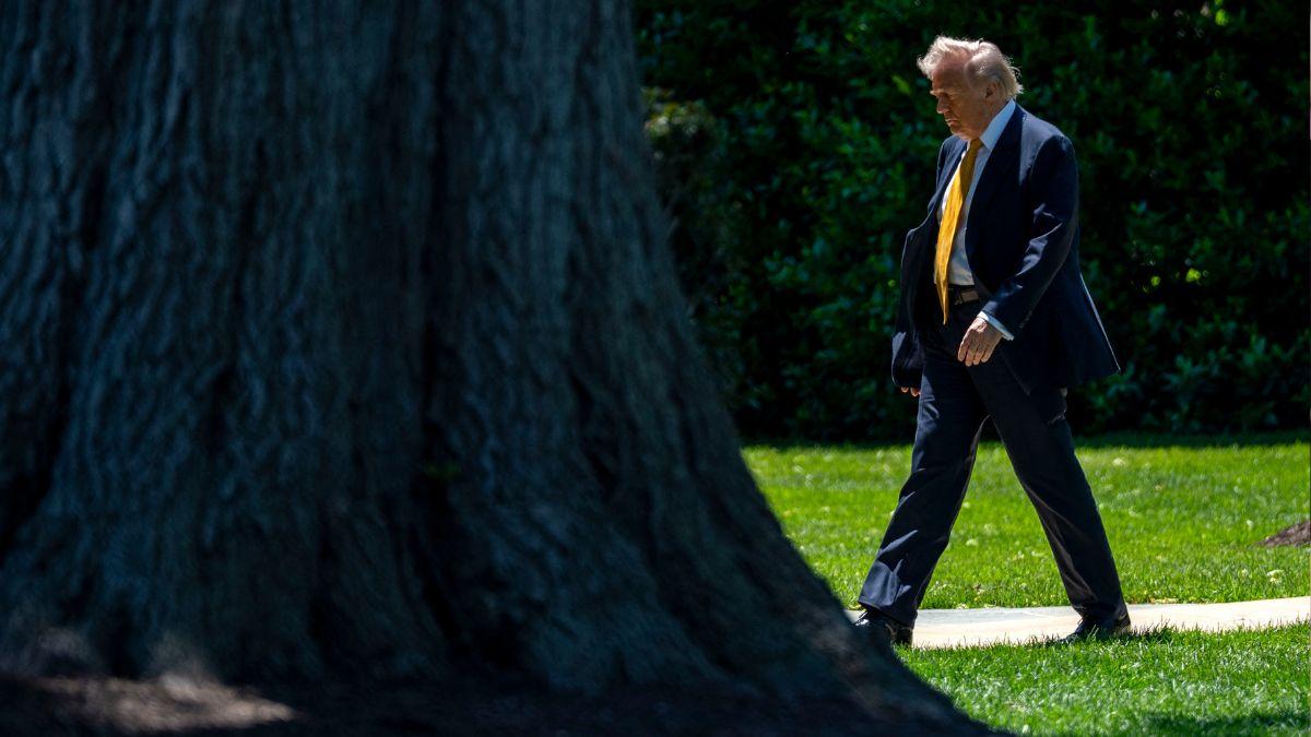image of Donald trump 