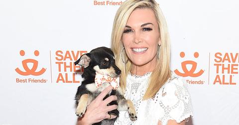 Tinsley-Mortimer-Dog-Show-Brand-PP
