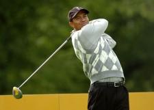 2009__11__wenn_tiger 225×161.jpg