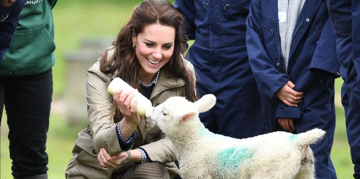 Kate Middleton Baby Lamb Photos Long