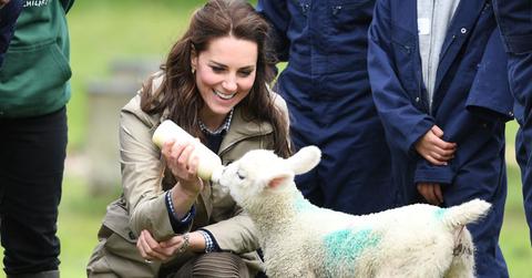 Kate Middleton Baby Lamb Photos Long