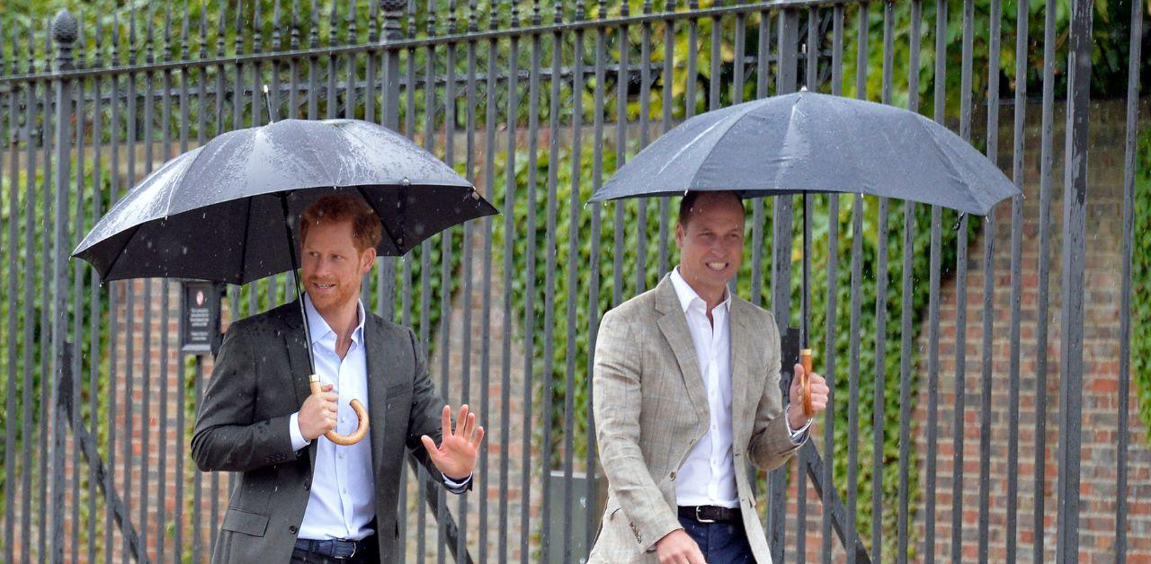 princess diana would be devastated prince harry left prince william