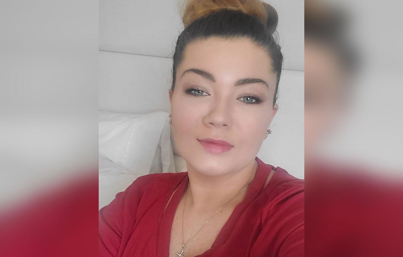 amber-portwood-machete-arrest-son-james-custody-andrew-glennon-court