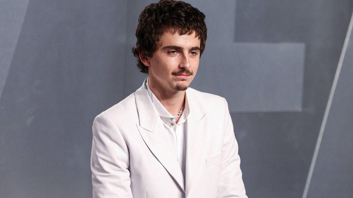 image of Timothée Chalamet was ripped apart for his remarks.