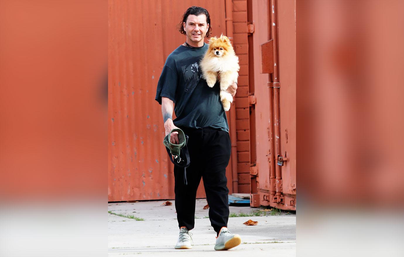 gavin rossdale walks his dog in the park blake shelton gushes holiday plans with gwen stefani