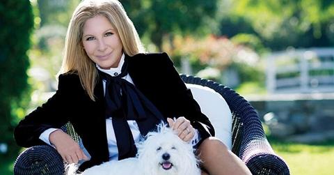 Barbra streisand dog clones main