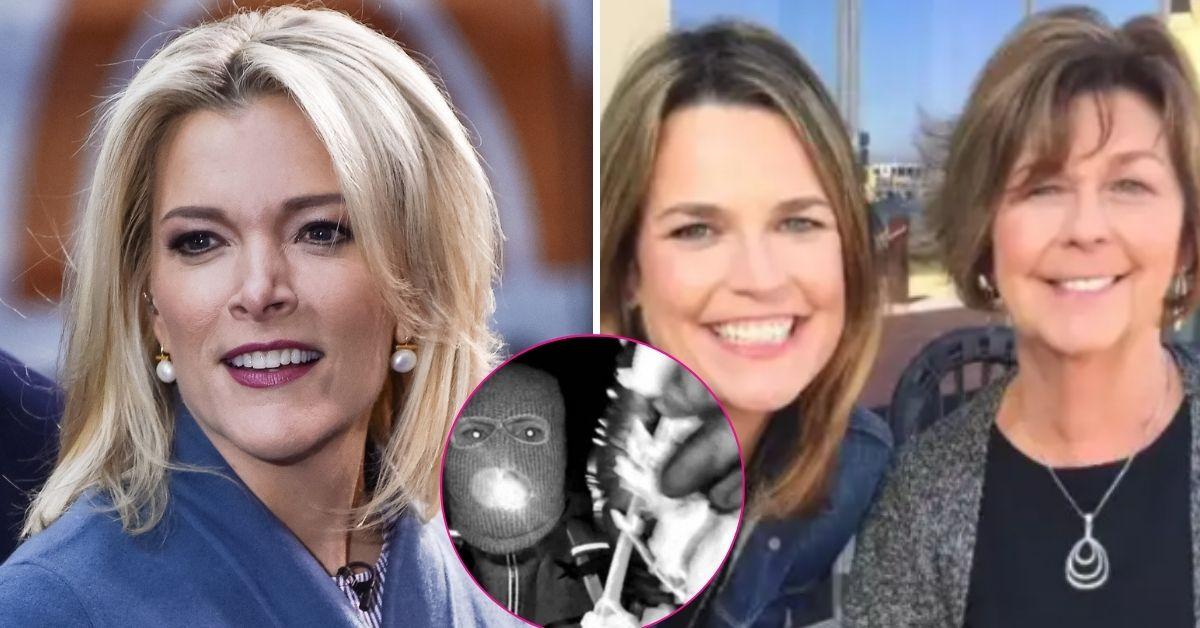 megyn kelly savannah guthrie missing mom murder