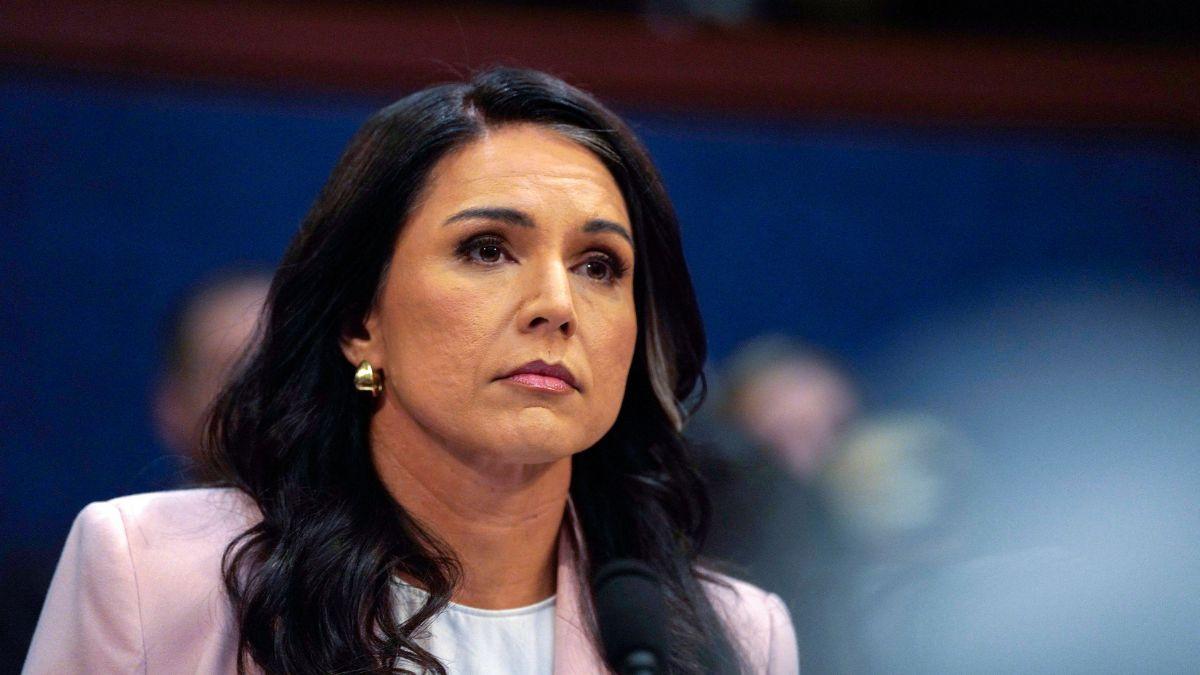 who is tulsi gabbard donald trump intelligence chief resignation