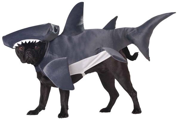 Shark dog costume