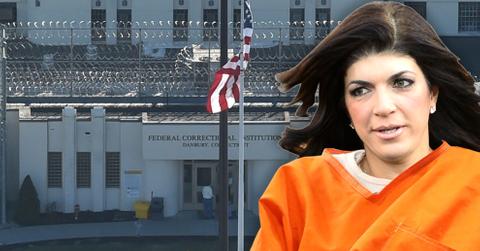 Teresa giudice jail