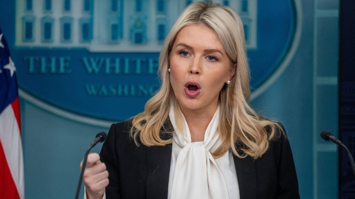 image of Karoline Leavitt stuck up for the president during the exchange. 