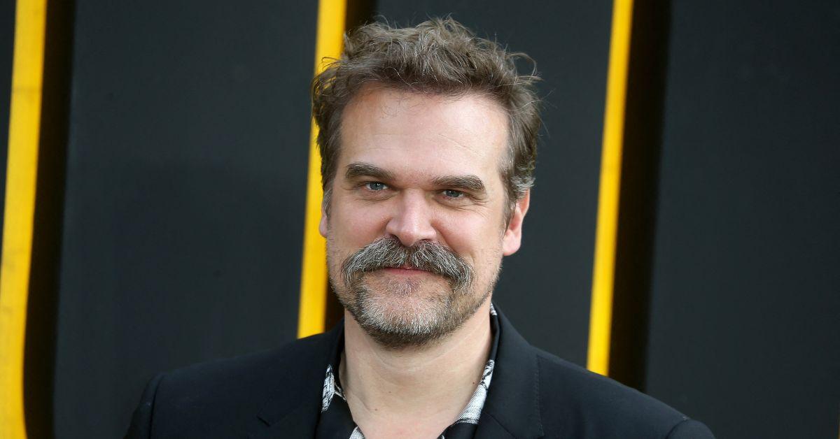 Photo of David Harbour