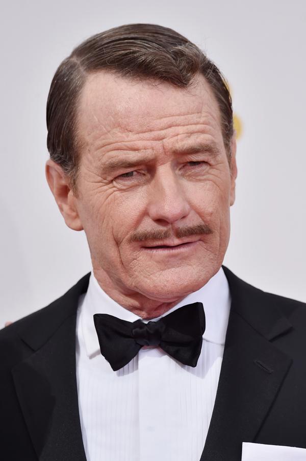 Bryan cranston facial hair