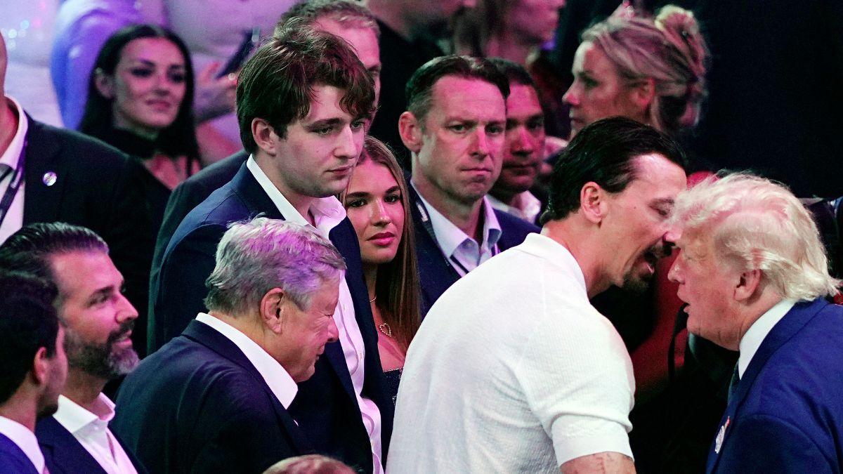image of Barron trump 