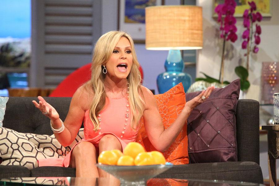 Tamra barney judge custody battle scandals