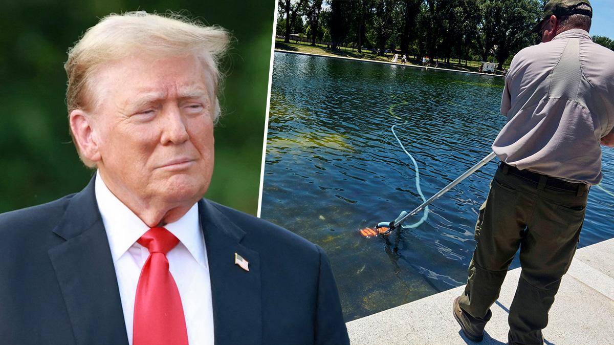 Photo of Donald Trump and the Reflecting Pool