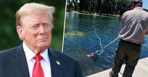 Photo of Donald Trump and the Reflecting Pool