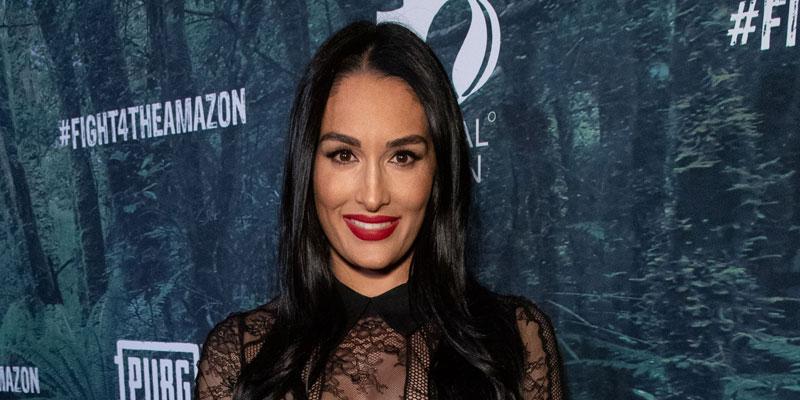 Nikki Bella and Brie Bella announce partnership with Monster Energy News  Photo - Getty Images