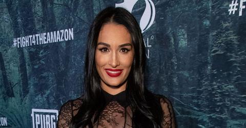 Nikki Bella On Red Carpet