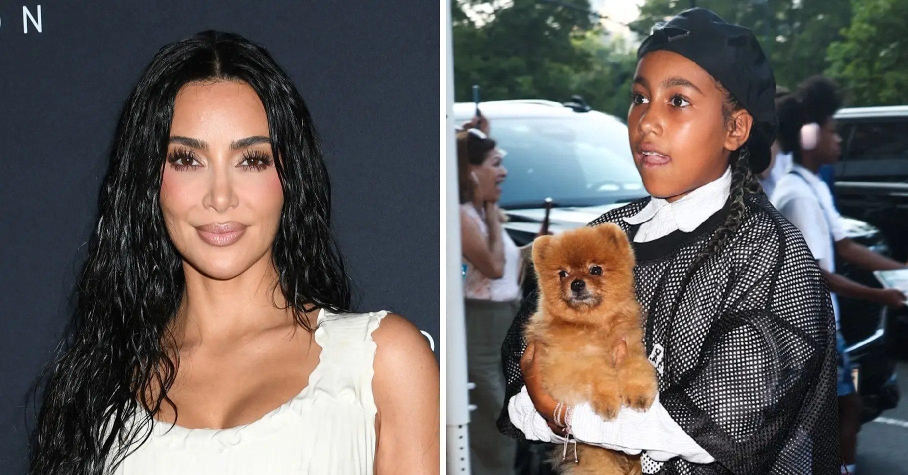 Photo of Kim Kardashian and a picture of North West holding a dog.