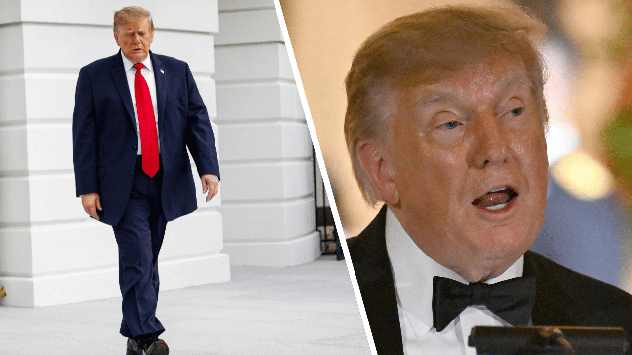 Composite photo of Donald Trump.
