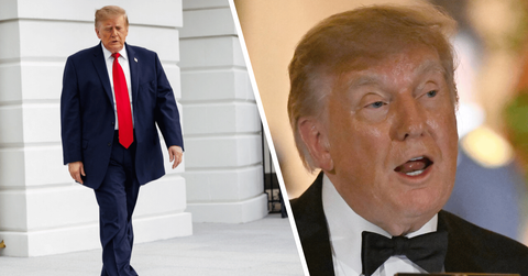 Composite photo of Donald Trump.