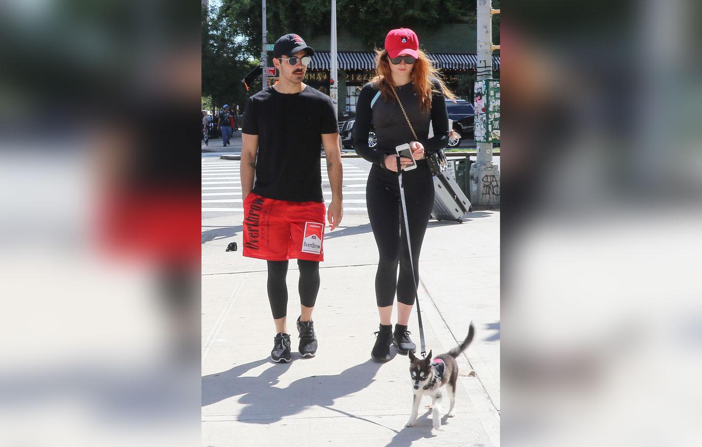 Joe Jonas Sophie Turner cute new puppy