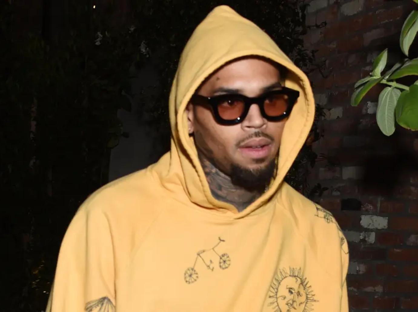 chris brown lawsuit sued  million beating four fans concert