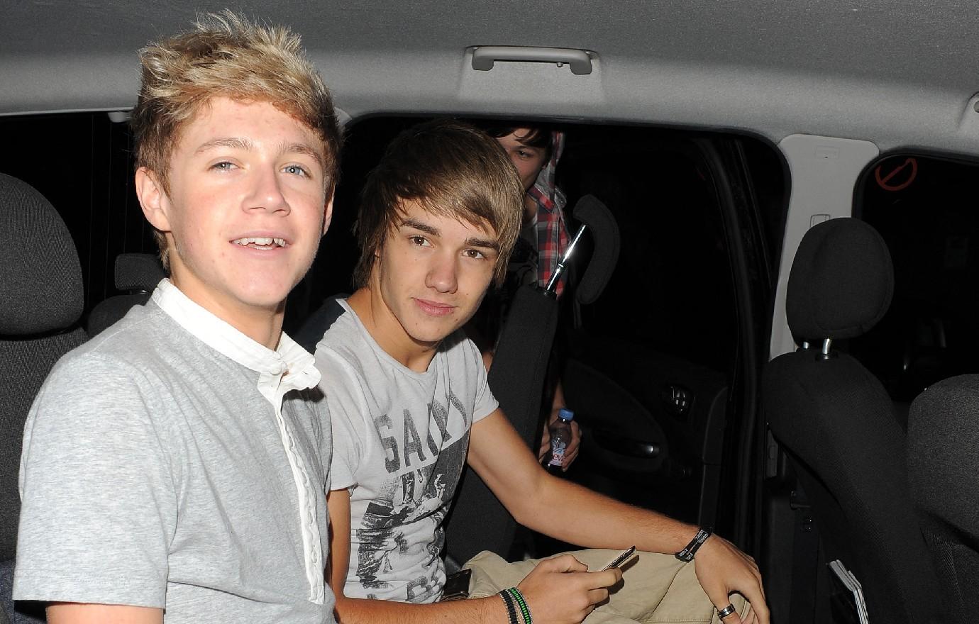 liam payne dissed stealing one direction niall horan spotlight concert