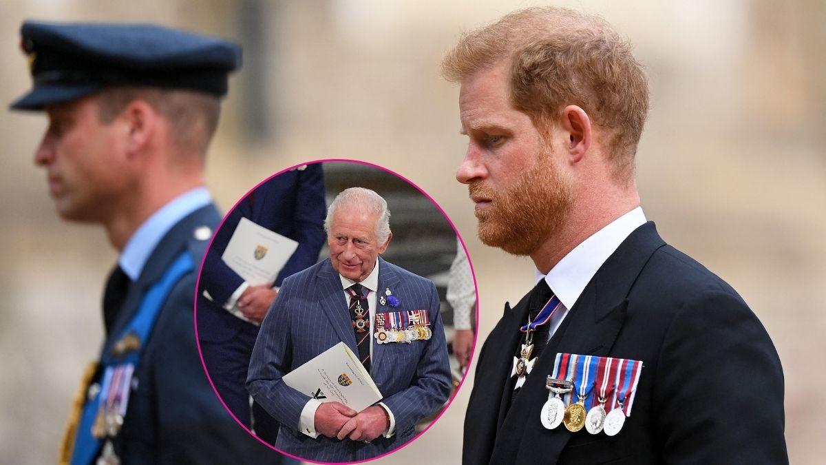 image of Princes Harry and Prince William are not on good terms. 