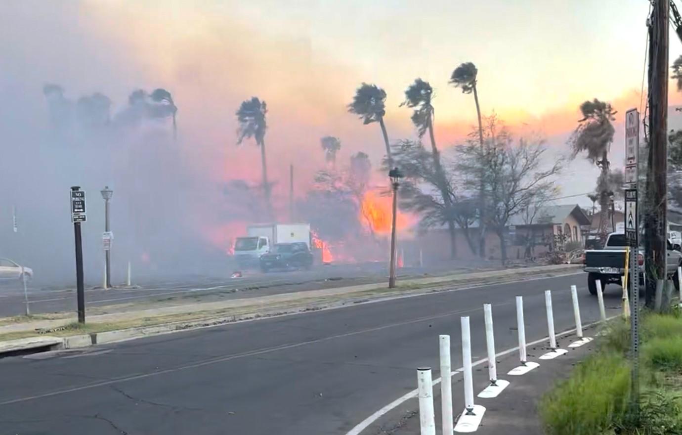 maui fires mega