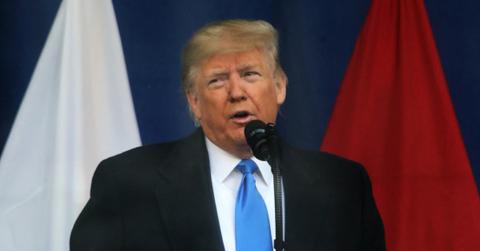 donald trumps net worth