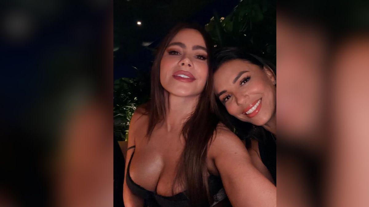 sofia vergara wanting find husband middle restaurant