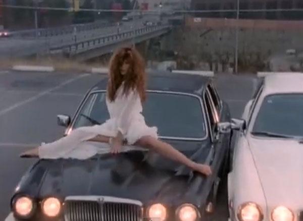 Tawny kitaen