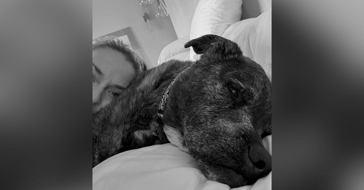 image of Lindsey Vonn revealed her beloved dog Leo has died.