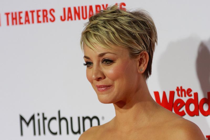 kaley cuoco flag dogs instagram apology